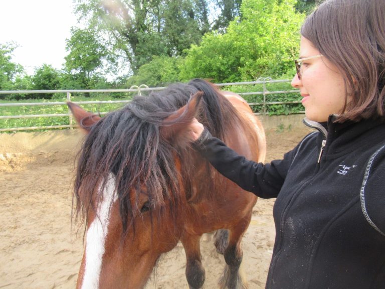Selbstwahrnehmung durch Pferd stärken beim Coaching mit Pferd eigene Selbstwahrnehmung für Gefühle und Körpersprache verbessern