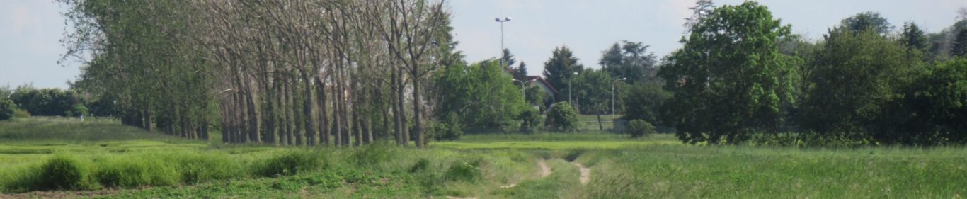 Weg zwischen Wiesen, Feldern und Bäumen